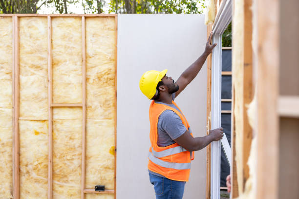 Best Insulation Contractors for Homes  in Solon, IA
