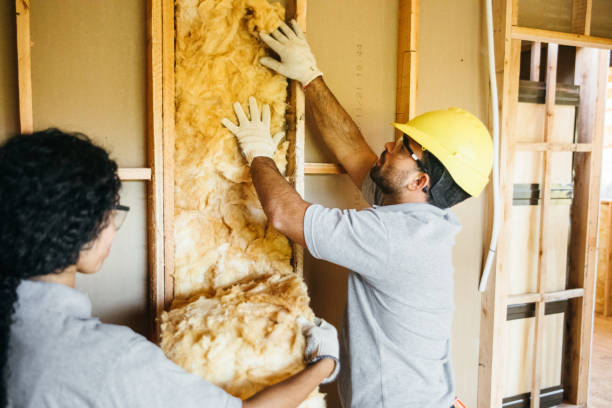Best Spray Foam Insulation  in Solon, IA