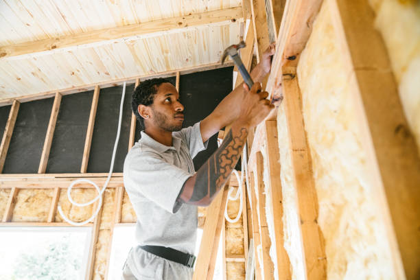 Best Local Insulation Services  in Solon, IA