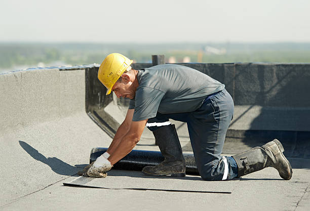Best Insulation Replacement Services  in Solon, IA