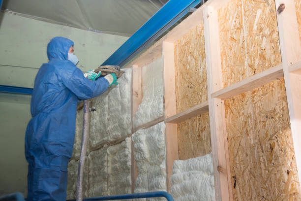Reliable Solon, IA Insulation Contractor Solutions
