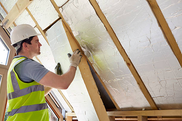 Best Residential Insulation Services  in Solon, IA